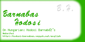 barnabas hodosi business card